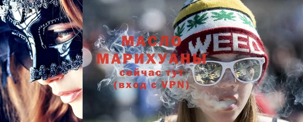 индика Михайловка