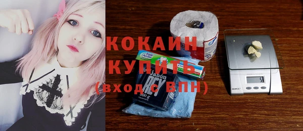 молекула духа Михайлов